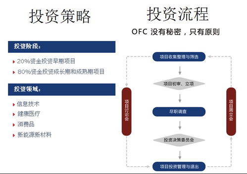 深圳市东方富海投资管理 OFC东方富海 2011年版投资流程和企业文化